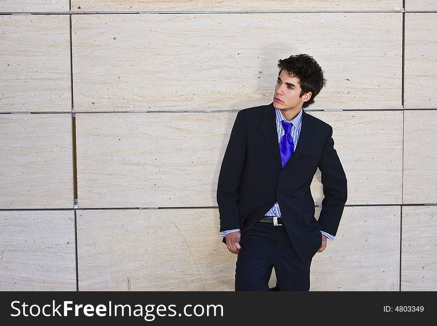 Young and smiling businessman portrait. Young and smiling businessman portrait