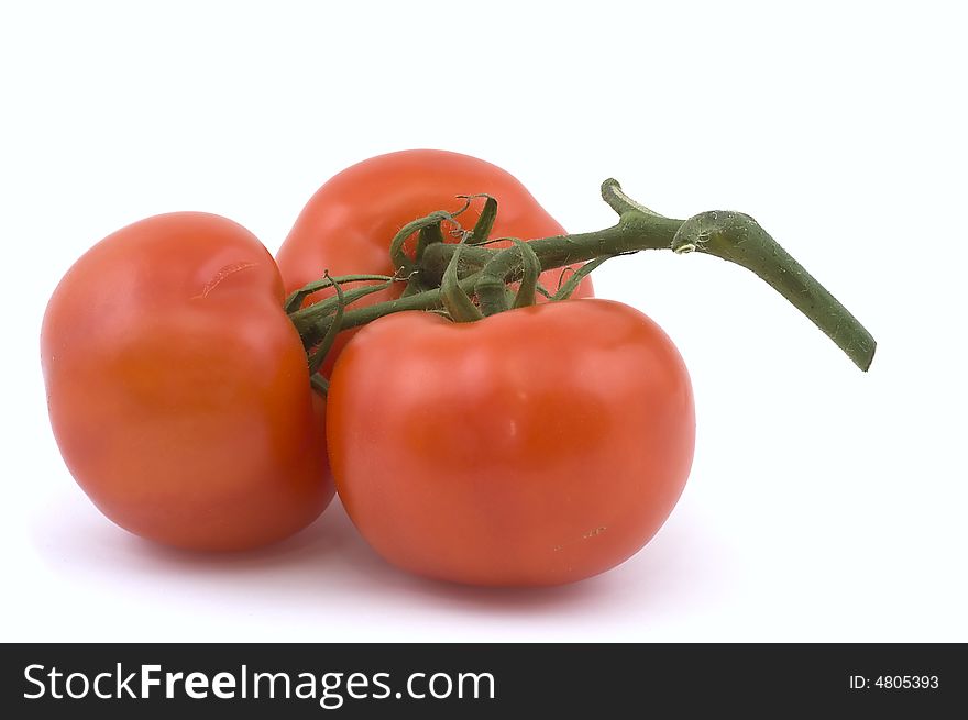 Three full red tomatoes on a branch. Isolated on white.