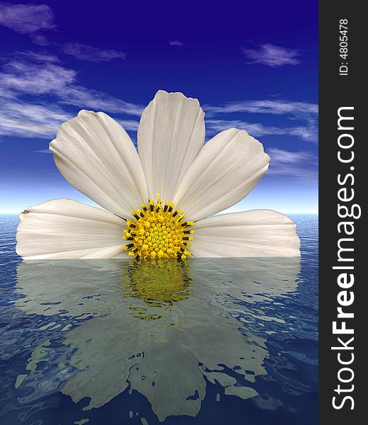 Beautiful flower with reflection on water. Beautiful flower with reflection on water