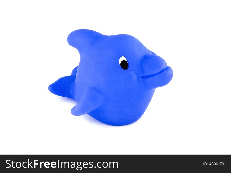 Rubber blue dolphin for in the bathtub