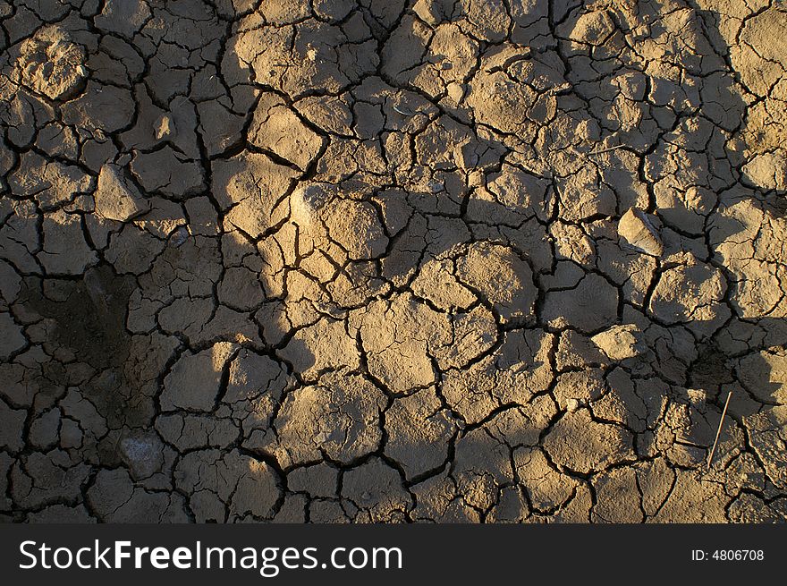 Texture of dry soil background. Texture of dry soil background