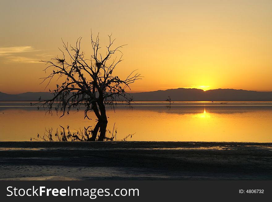 Golden sunset at Salton sea lake