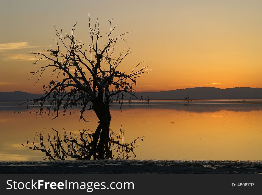 Golden sunset at Salton sea lake