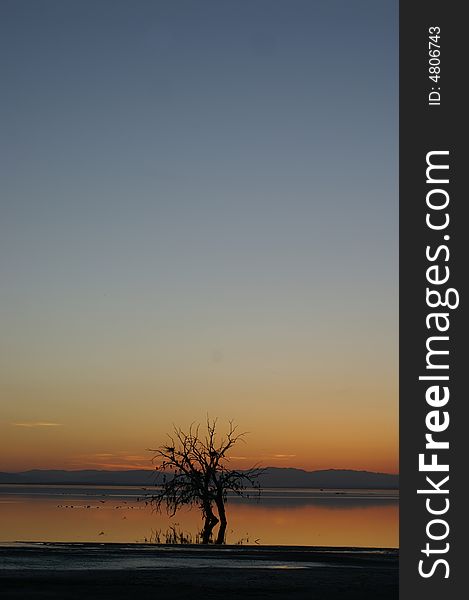 Golden sunset at Salton sea lake