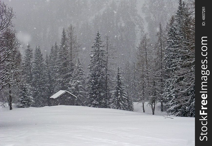 Intense snowfall in italian mountains. Intense snowfall in italian mountains