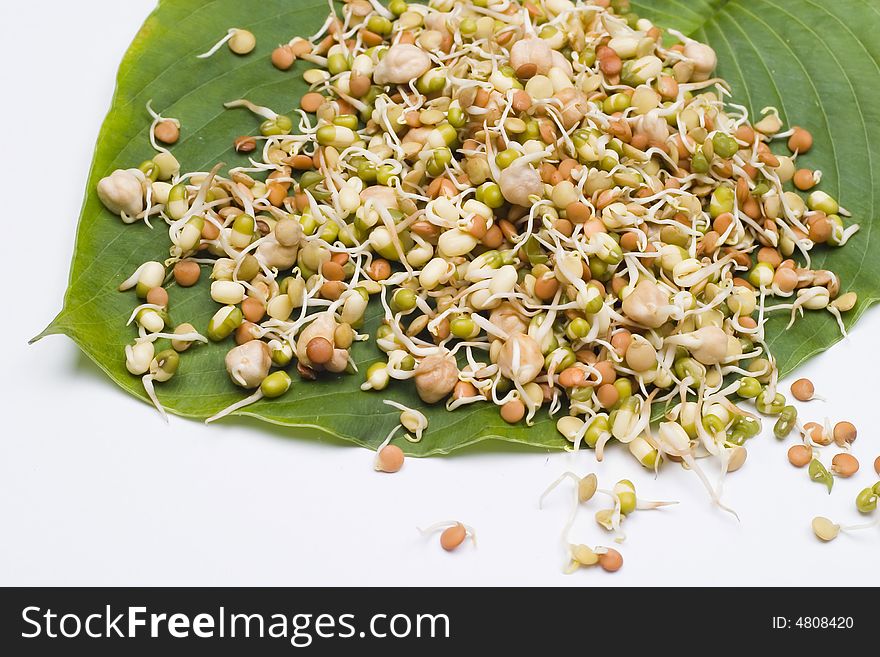 Delicious mix of sprouts on leaf isolated on white.