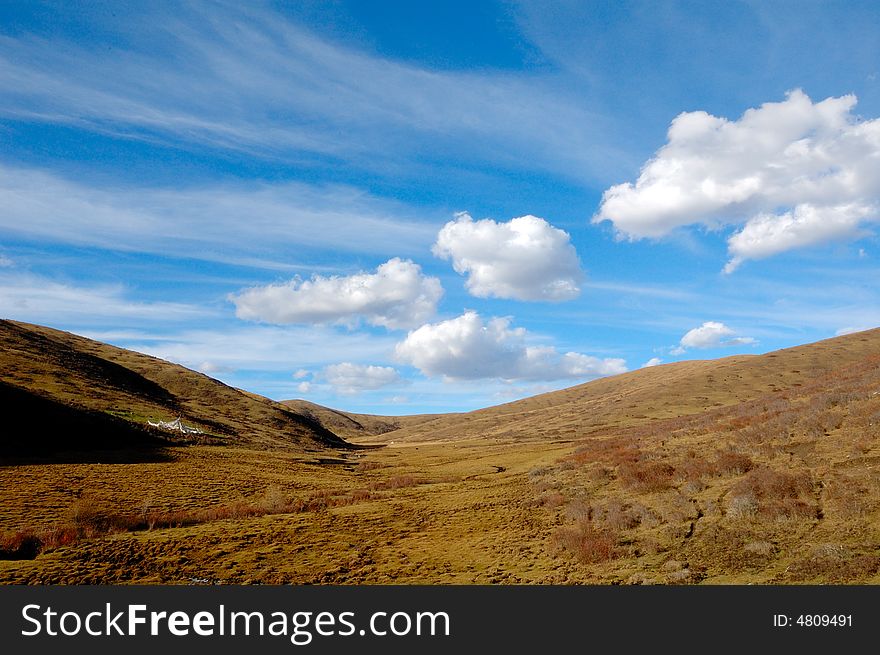 Hongyuan grassland in winter,Aba Autonomous Prefecture in Sichuan Province.