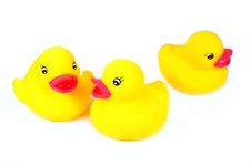 Three Ducklings Royalty Free Stock Photos