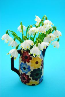 Spring Flowers Stock Photos Spring Flowers Stock Photos