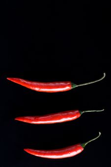 Three Chili Peppers Royalty Free Stock Image Three Chili Peppers Royalty Free Stock Image