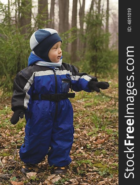The little boy in a dark blue jacket and blue take walks in a fur-tree wood. The little boy in a dark blue jacket and blue take walks in a fur-tree wood