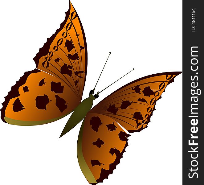 Vector illustration of a butterfly. Vector illustration of a butterfly