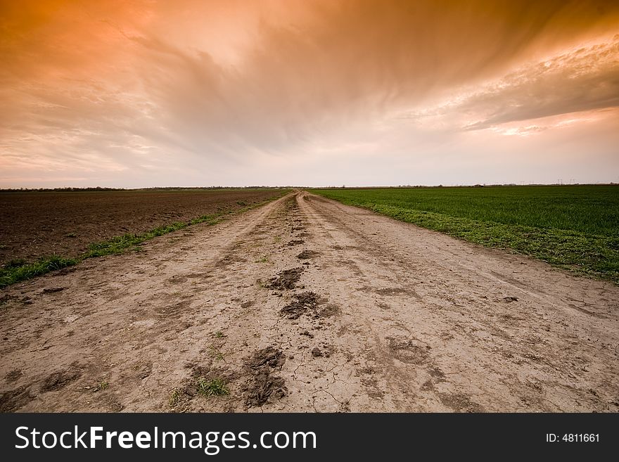 Country Road and sunset in the meadow