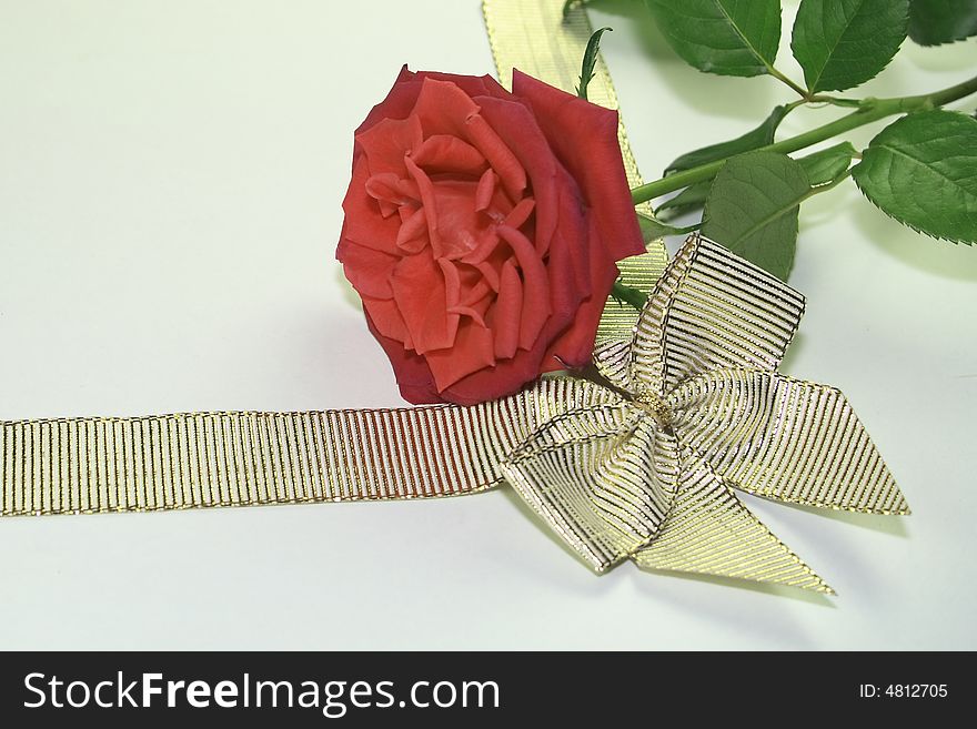 A red rose and a golden ribbon over a light background. A red rose and a golden ribbon over a light background