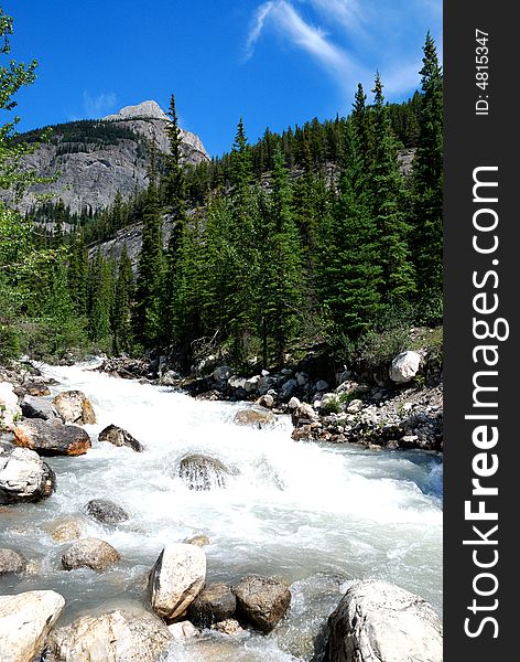 A Creek beside Ice Field Parkway in  Jasper National Park, Canada. A Creek beside Ice Field Parkway in  Jasper National Park, Canada