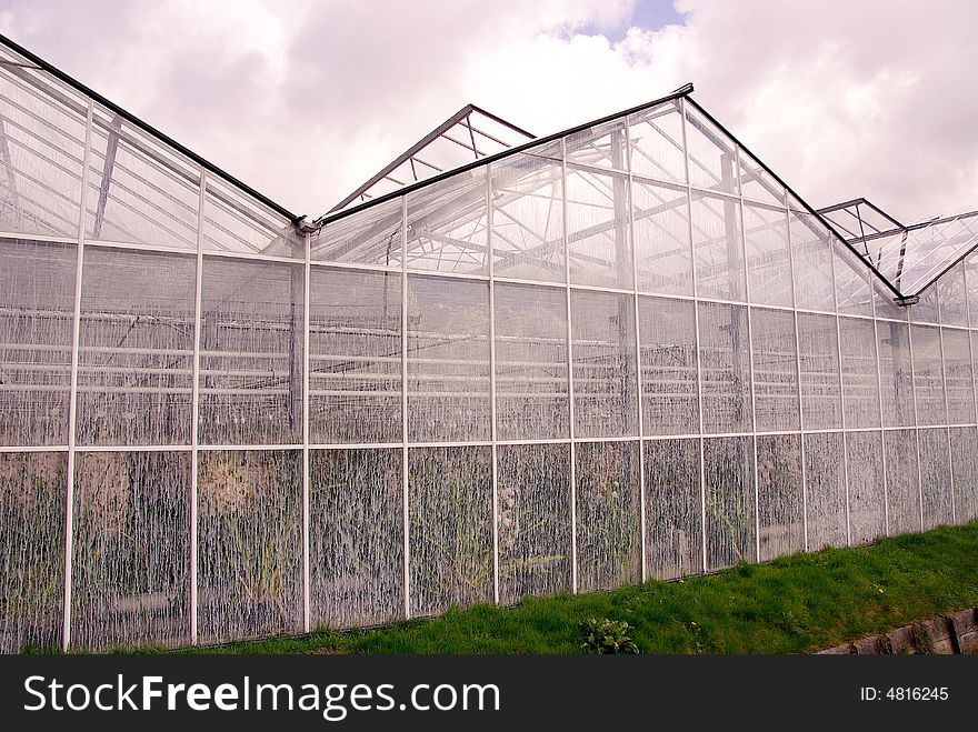 A greenhouse with chalk at the windows