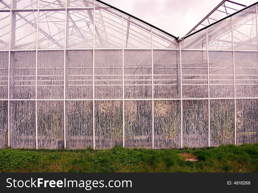 A greenhouse with chalk at the windows