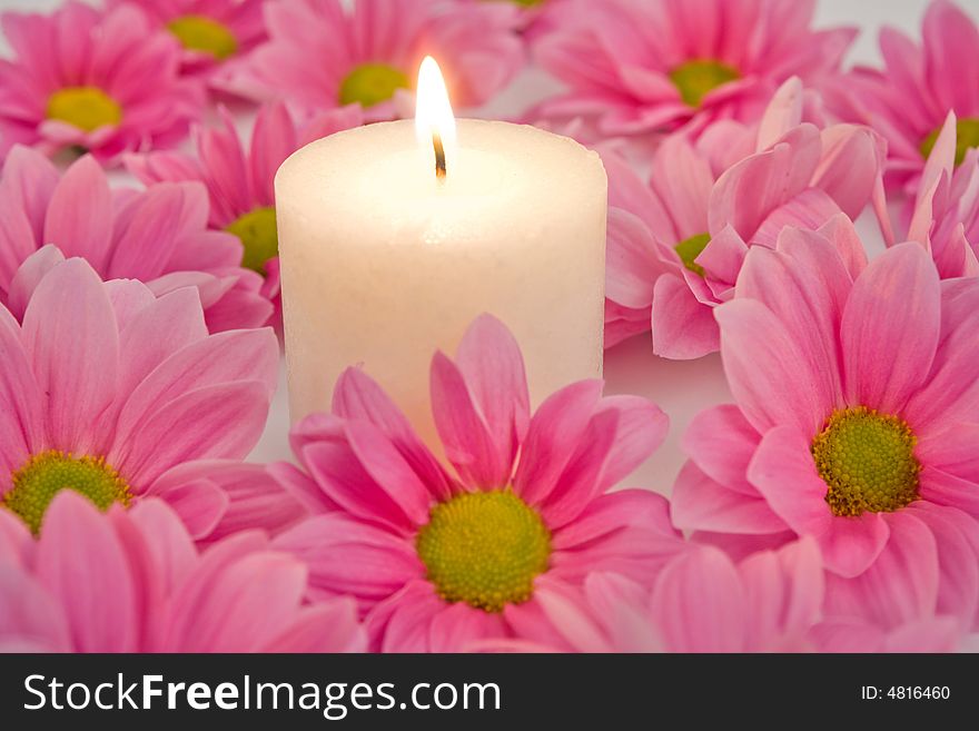 An image of pink petals and candle. An image of pink petals and candle