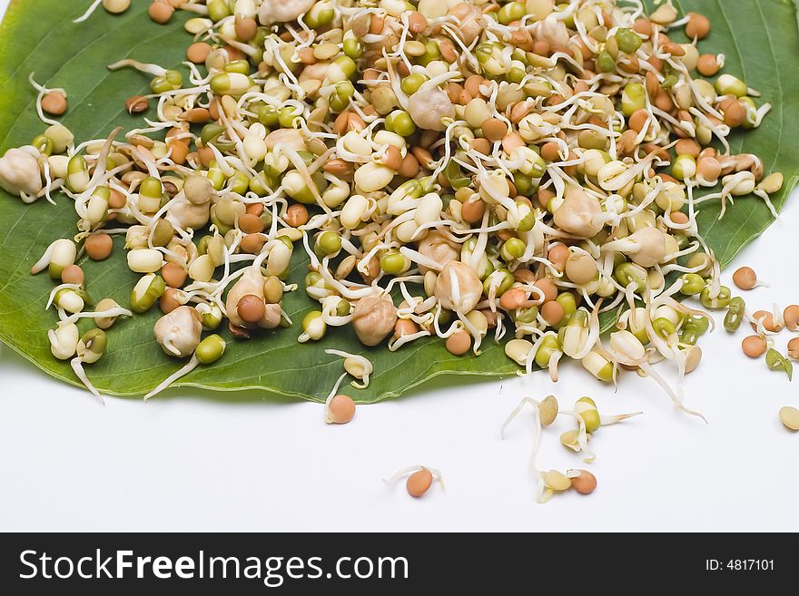 Delicious mix of sprouts on leaf isolated on white.