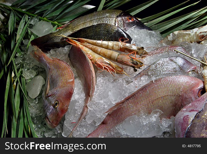 Seafood, ice , cooking, asian, freshness. Seafood, ice , cooking, asian, freshness