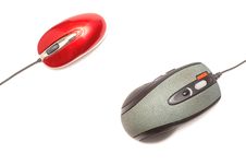 Red Mouse Vs Grey Mouse 3 Stock Photo