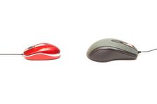 Red Mouse Vs Grey Mouse 1 Royalty Free Stock Photography