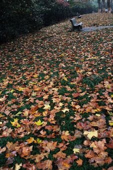Autumn Fall Leaves Stock Photos Autumn Fall Leaves Stock Photos