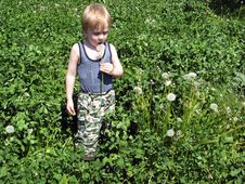 Boy With Blowball Stock Image Boy With Blowball Stock Image