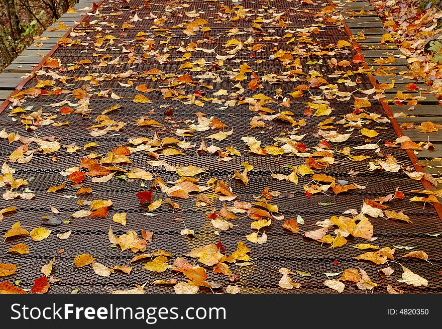 Plank road of JiuZhaigou in fall. Plank road of JiuZhaigou in fall.