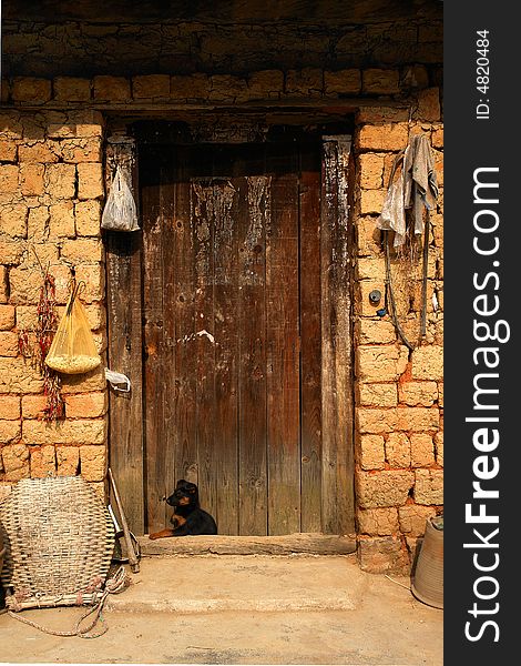 Puppy Wait for boy Go home In China the village of the south