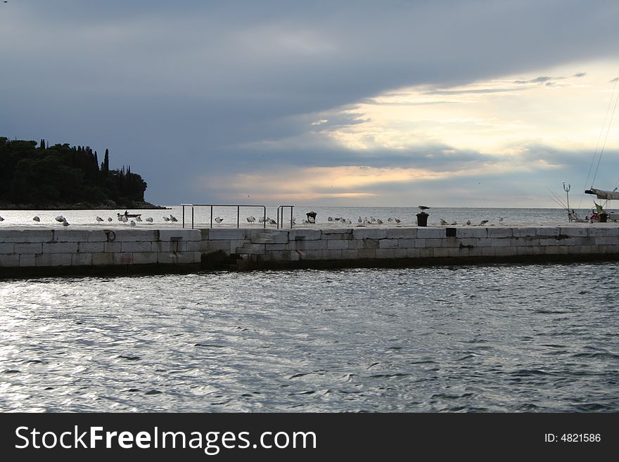 Gulls on Rovinj pier after storm