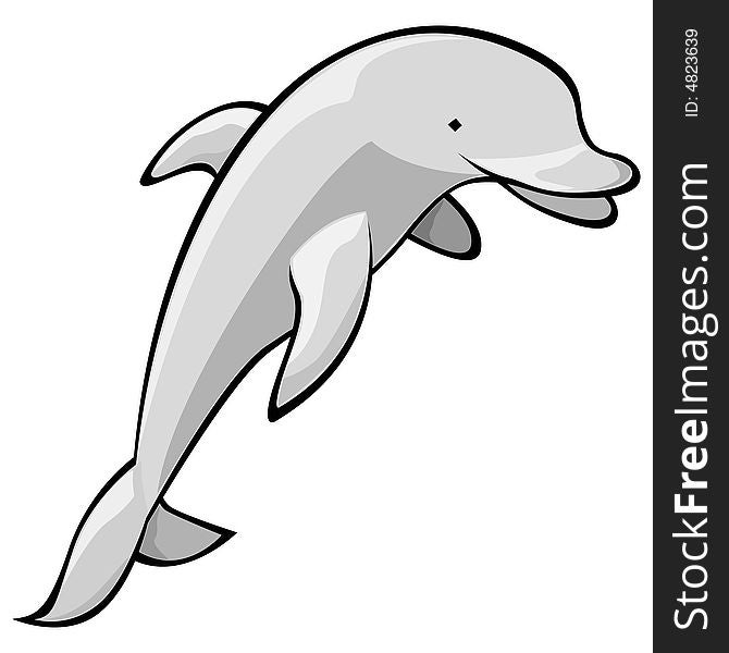 A grey cute friendly dolphin