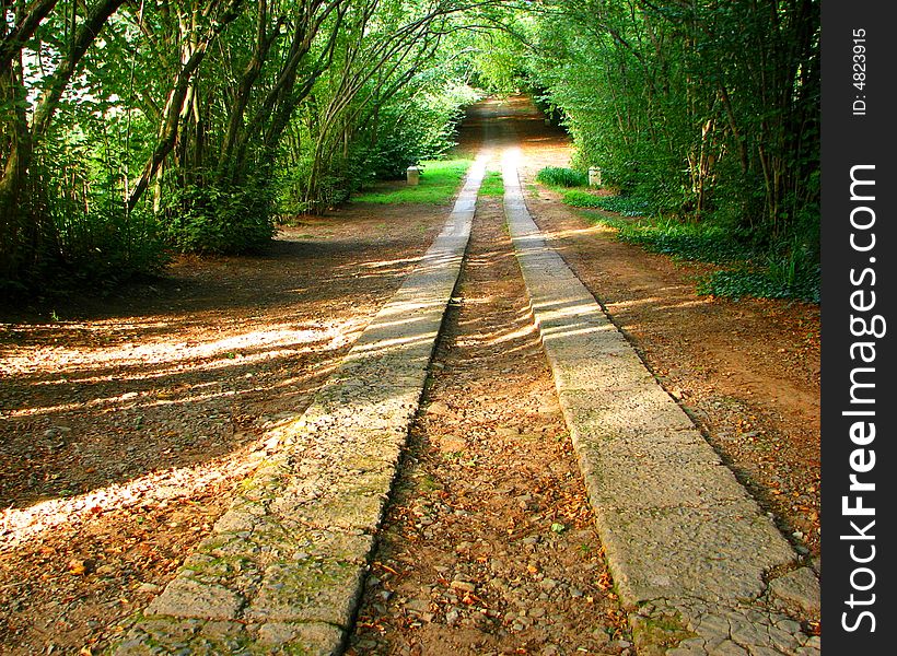 The road in a park