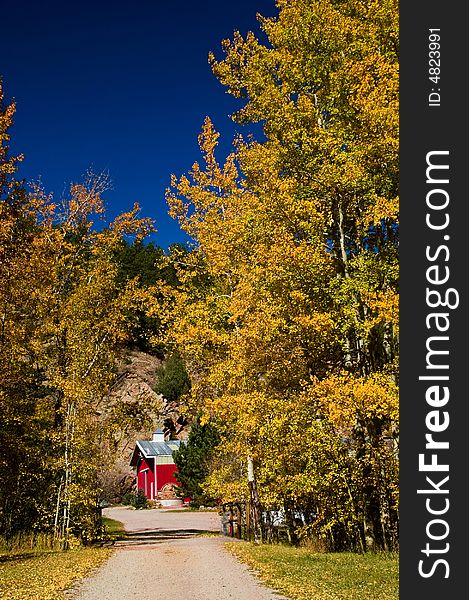 A rural Colorado red Barn seems hidden among the changing fall foliage of trees. A rural Colorado red Barn seems hidden among the changing fall foliage of trees