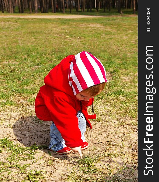 Little Girl In A Wood