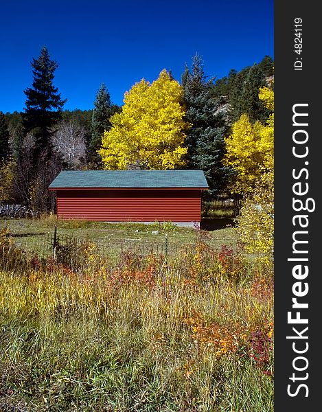 A red country barn in Colorado amongst changing autumn trees. A red country barn in Colorado amongst changing autumn trees
