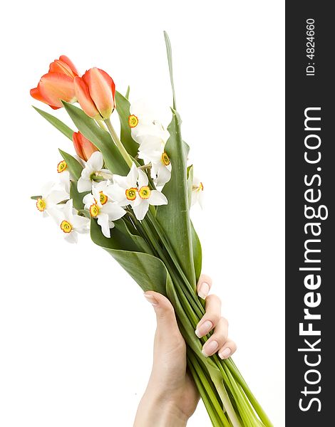 Woman holding bouquet of white narcissus and red tulips, spring flowers