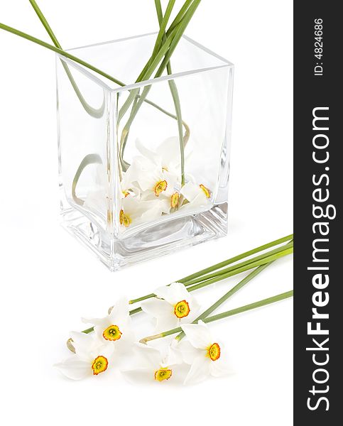 White narcissus in a glass vase