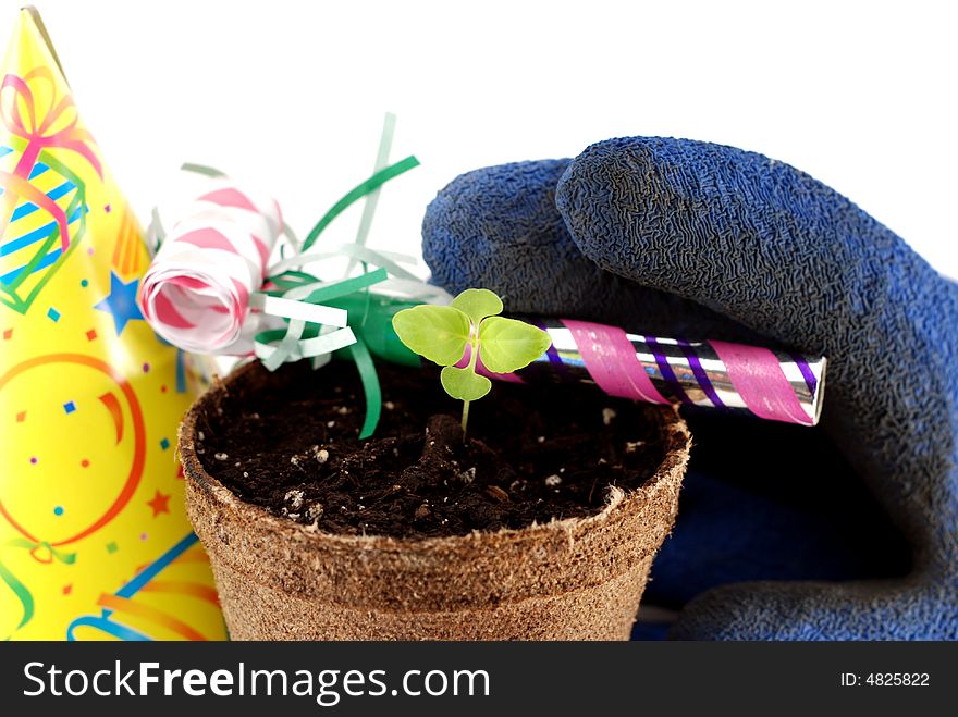 Celebrate springtime concept with a small coleus sprout and party decoration over a white background