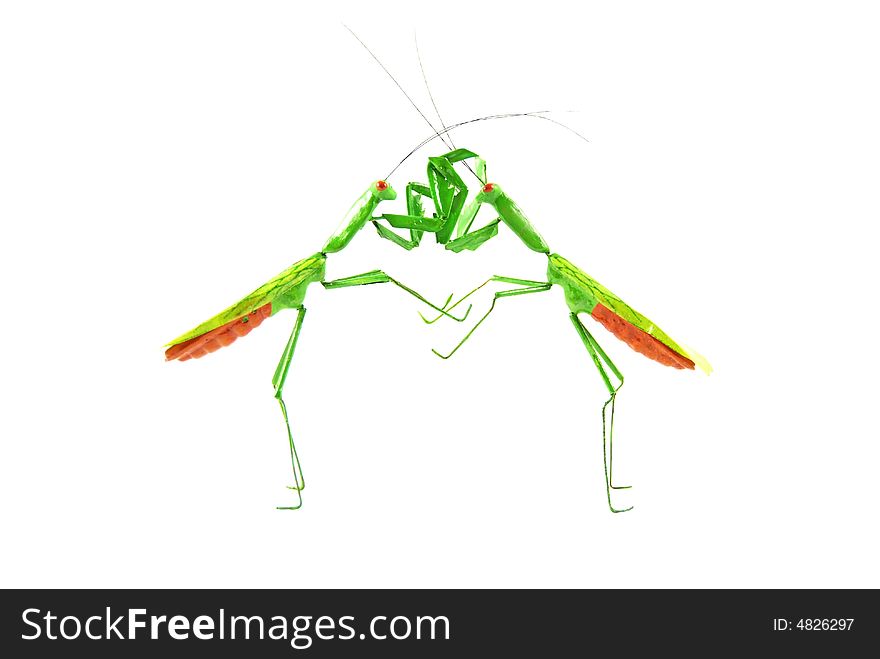 Praying mantis vs praying mantis 1c