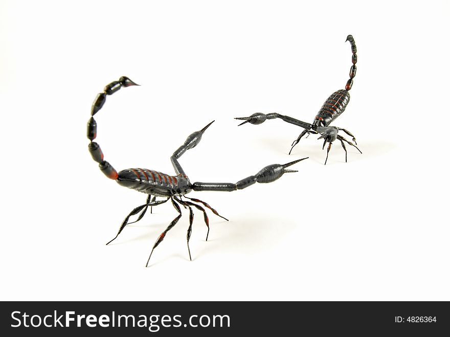 Scorpion Vs Scorpion 2