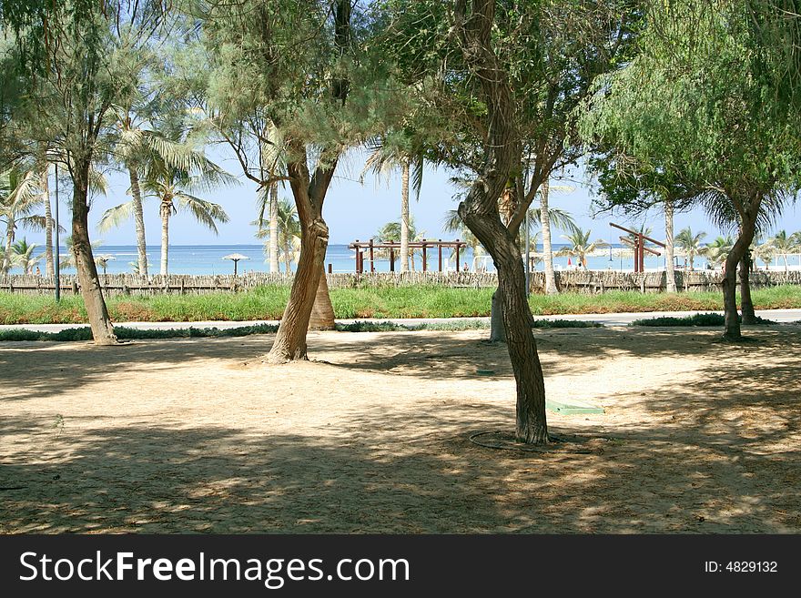 Tree park with beautiful view to a blue sea. Tree park with beautiful view to a blue sea