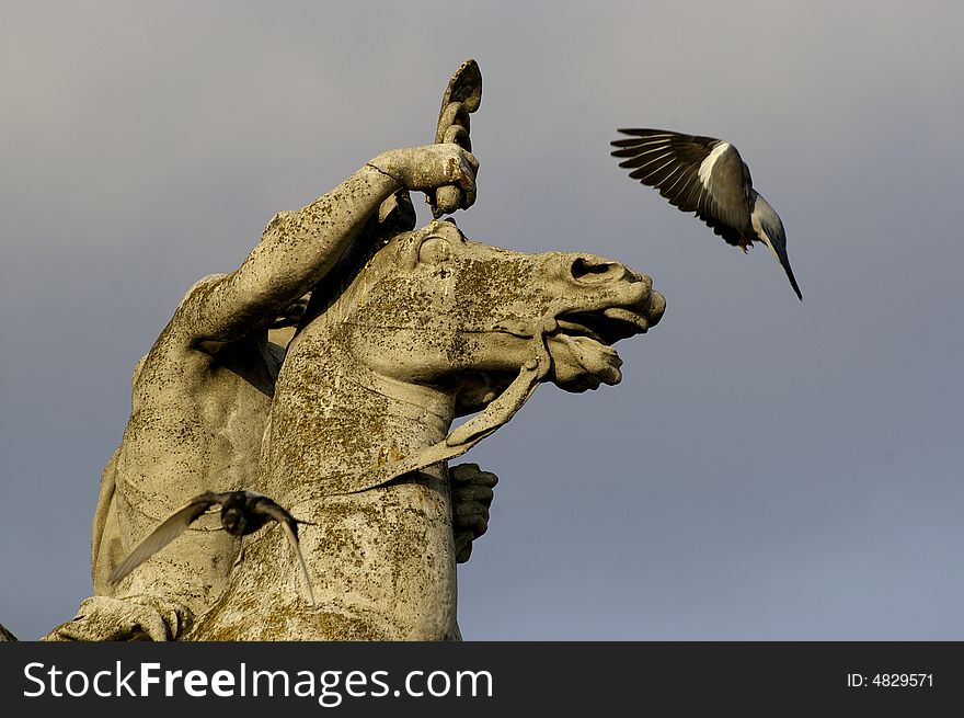 Two pigeons flying near from an horse satue. Two pigeons flying near from an horse satue