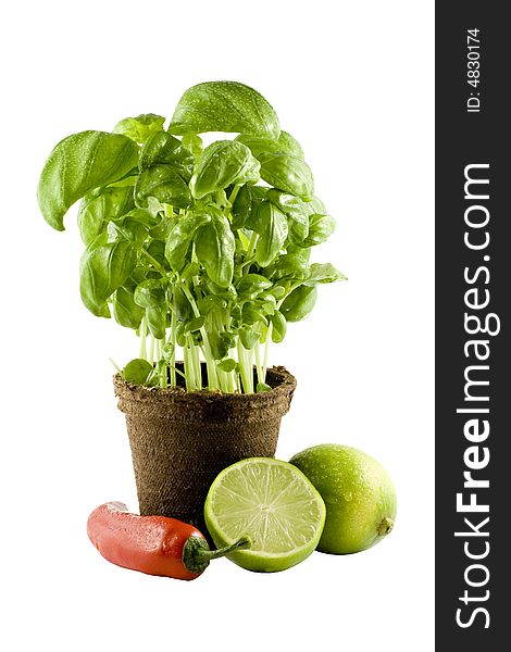 Basil, lime & chili isolated on white background