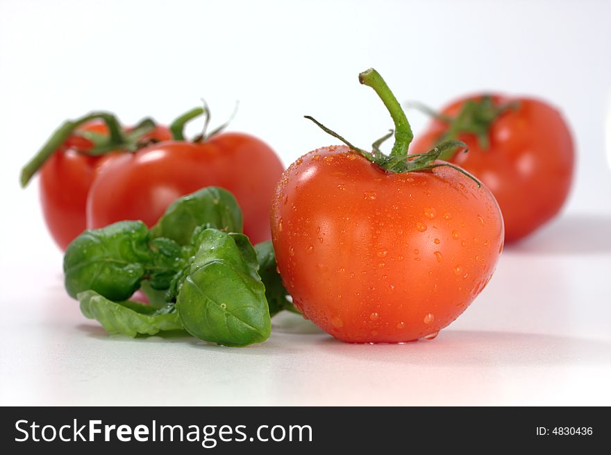 Tomatoes and basil on a white background