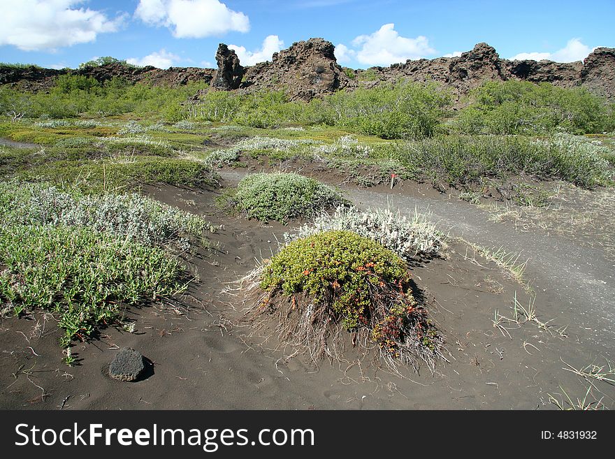 Black sand and stones in Iceland. Black sand and stones in Iceland