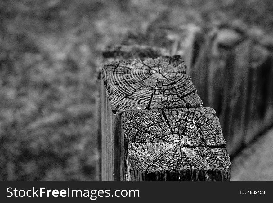 Black and white view of broken wooden posts on neglected playground.