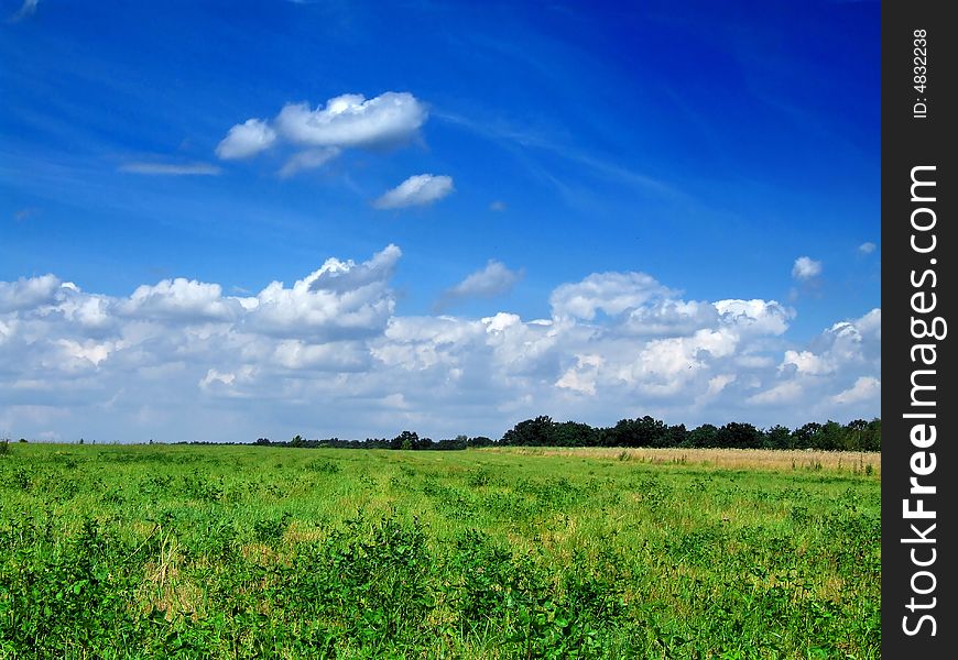 Green Grass On Blue Sky