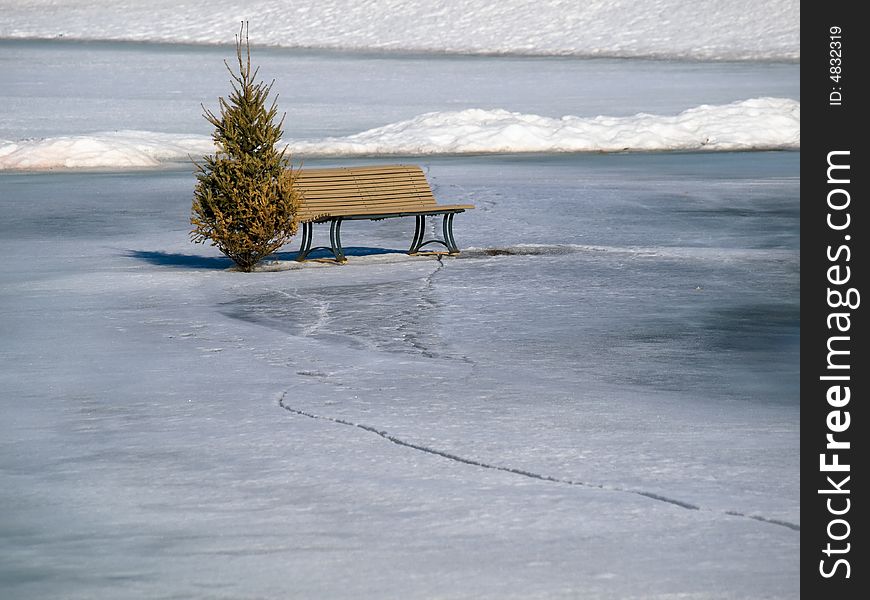 Park bench with conifer tree in the thawing, cracking ice at sunset. Park bench with conifer tree in the thawing, cracking ice at sunset