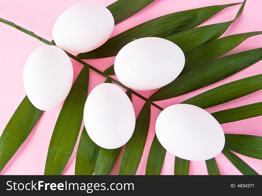 White eggs on a green leaf with a pink background. White eggs on a green leaf with a pink background